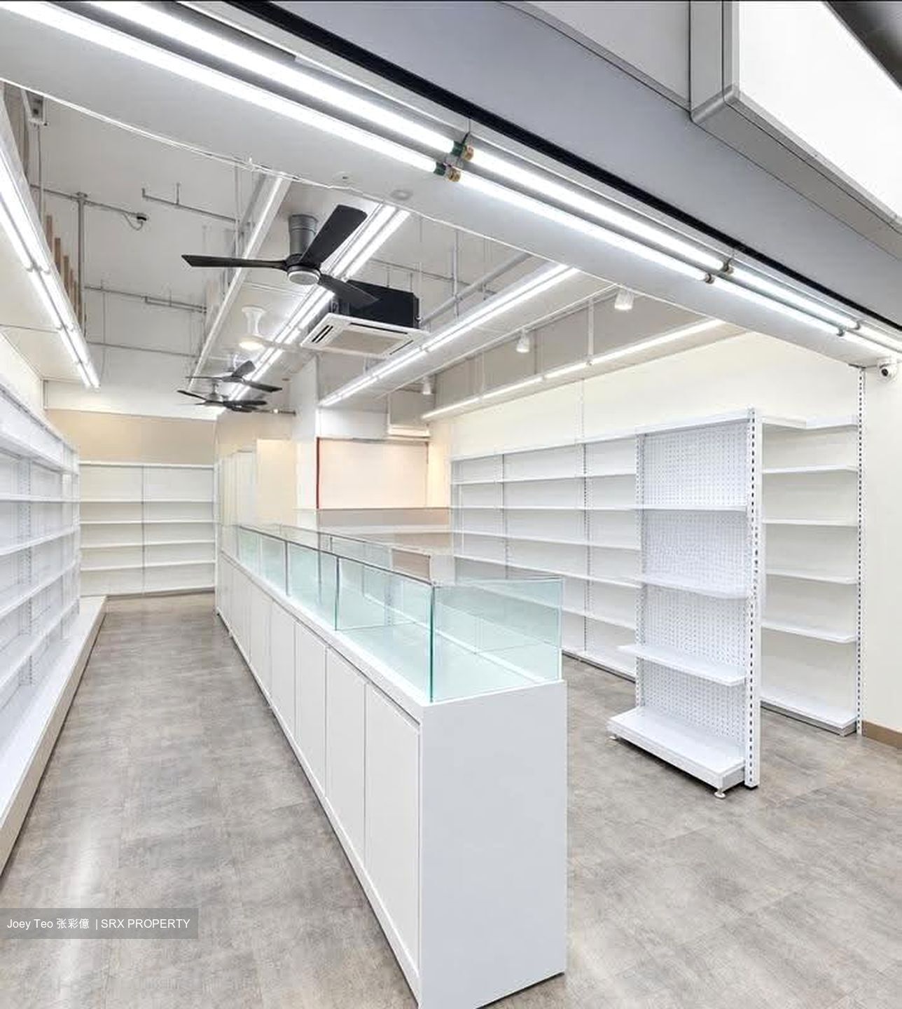 Alkaff Lakeview (D13), Shop House #634985731
